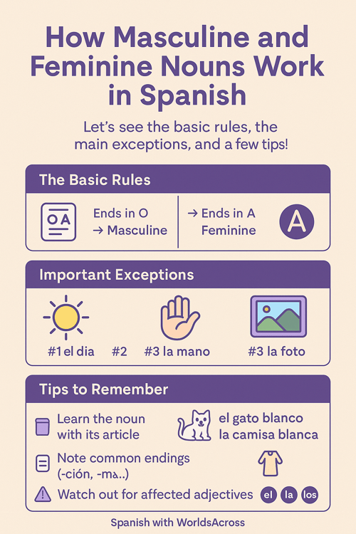 How do masculine and feminine nouns work in Spanish?